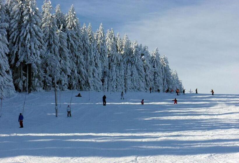 פנסיון Penzion U Studeného Potoka