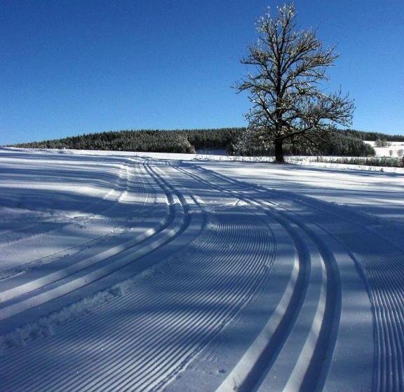 פנסיון Penzion U Studeného Potoka