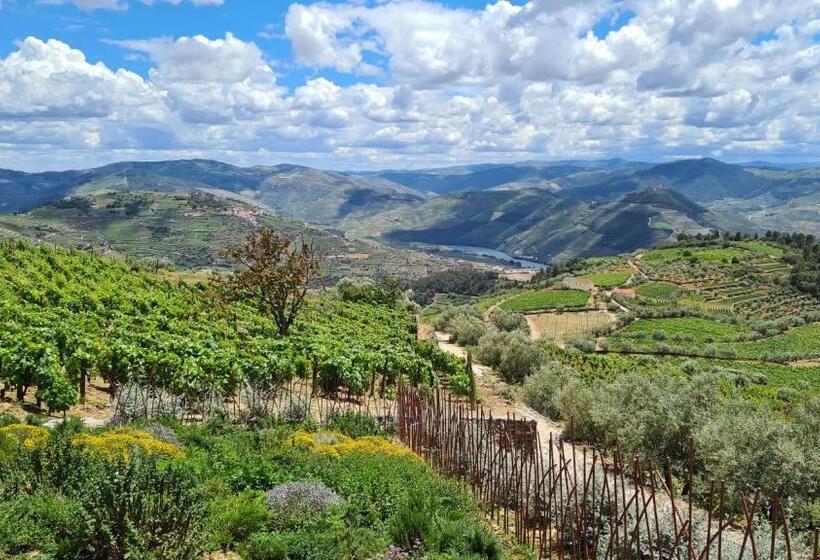 Casa De Pena D águia   Douro Encantado