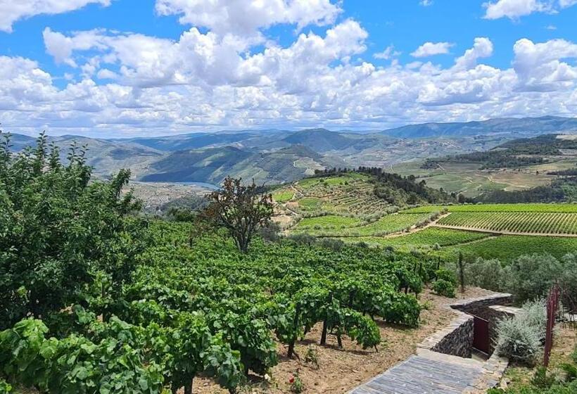 Casa De Pena D águia   Douro Encantado