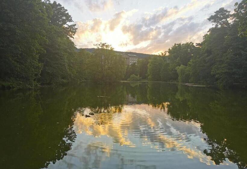 Schöne 3 Zimmer Erdgeschosswohnung Am Bergpark,unesco,therme,train, Wilhelmshöher Allee 329