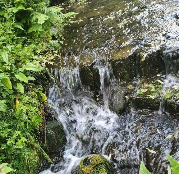 Schöne 3 Zimmer Erdgeschosswohnung Am Bergpark,unesco,therme,train, Wilhelmshöher Allee 329