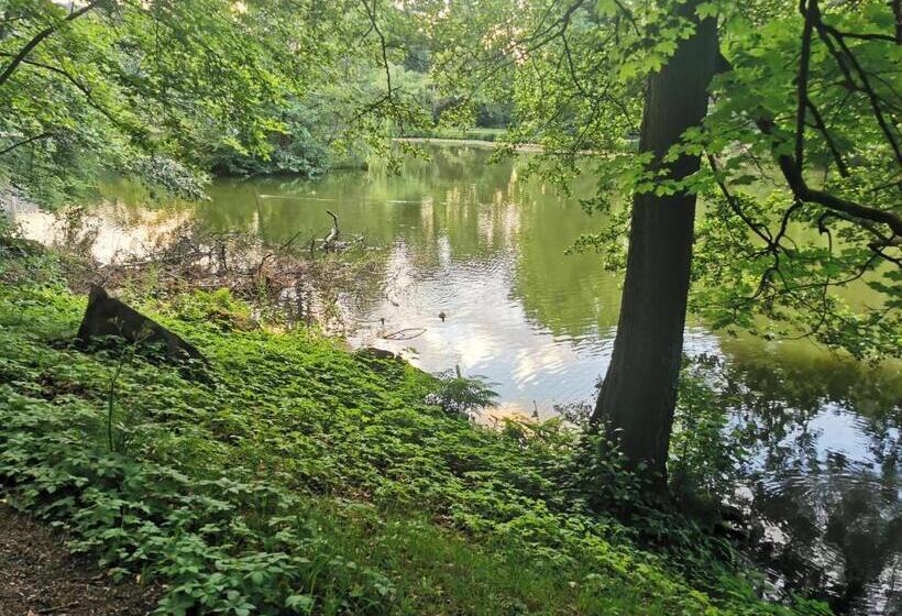 Schöne 3 Zimmer Erdgeschosswohnung Am Bergpark,unesco,therme,train, Wilhelmshöher Allee 329