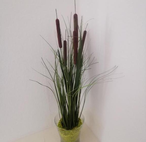 Schöne 3 Zimmer Erdgeschosswohnung Am Bergpark,unesco,therme,train, Wilhelmshöher Allee 329