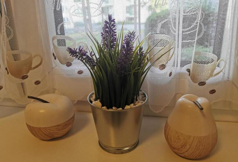 Schöne 3 Zimmer Erdgeschosswohnung Am Bergpark,unesco,therme,train, Wilhelmshöher Allee 329