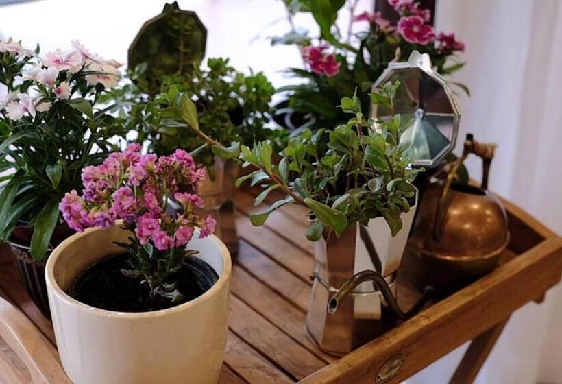 Self Catering Studio By Inn The Coffeepot