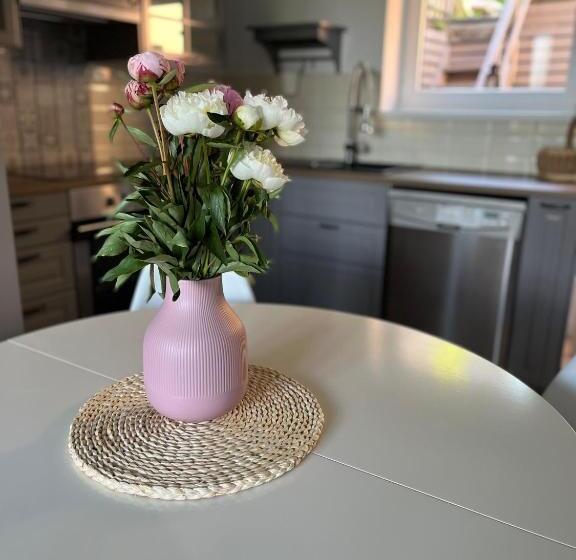 Horská Chata Jáchymov