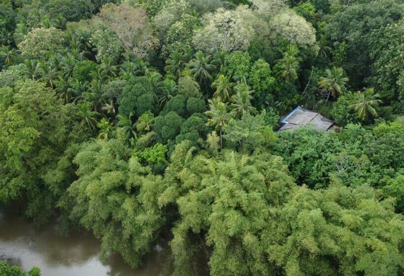 Pension Cool Positive River Side