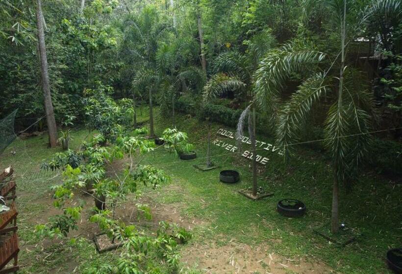 Pension Cool Positive River Side