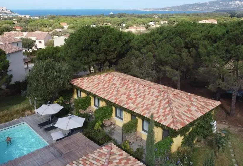 ベッドアンドブレックファースト Villa Alivu Di Calvi