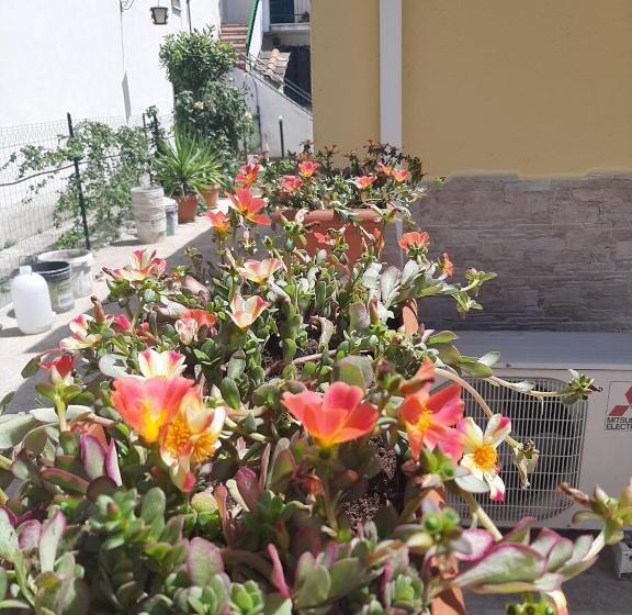 Casetta Santa Maria Degli Angeli