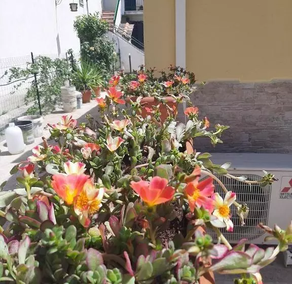 Casetta Santa Maria Degli Angeli