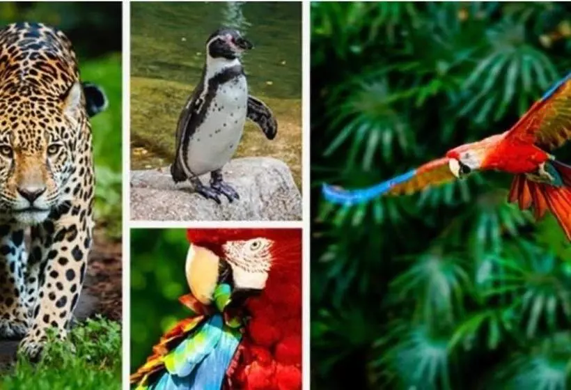 Harmonia Maison De Caractère Proche Provins