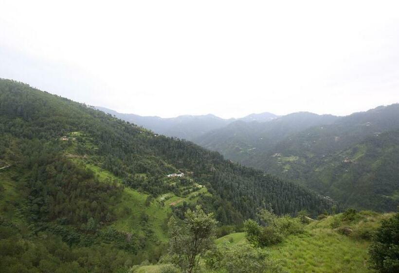 Hotel Manla Homes Resort Mashobra