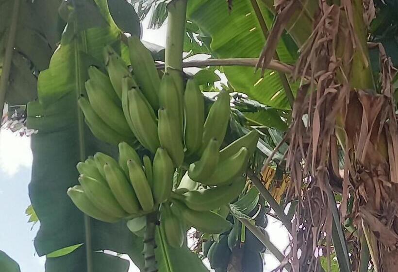 ホテル Villa Serenità