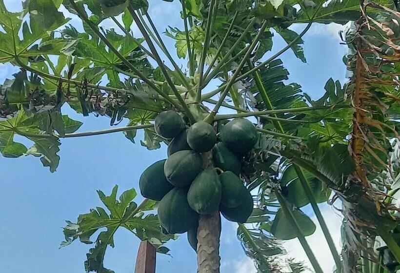 ホテル Villa Serenità