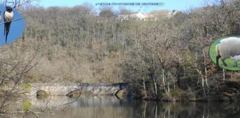 Les Hirondelles De Montsec