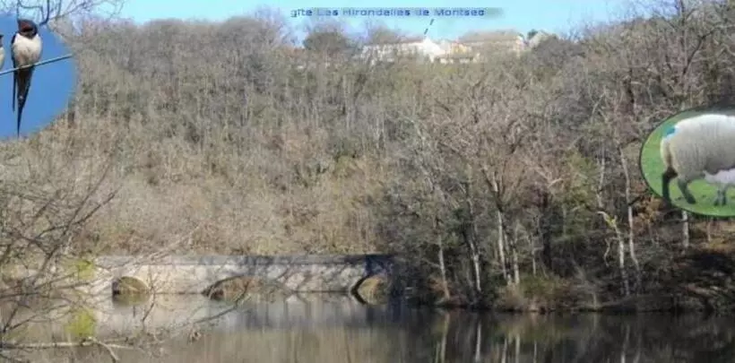 Les Hirondelles De Montsec