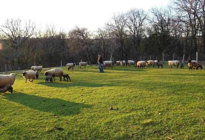 Les Hirondelles De Montsec