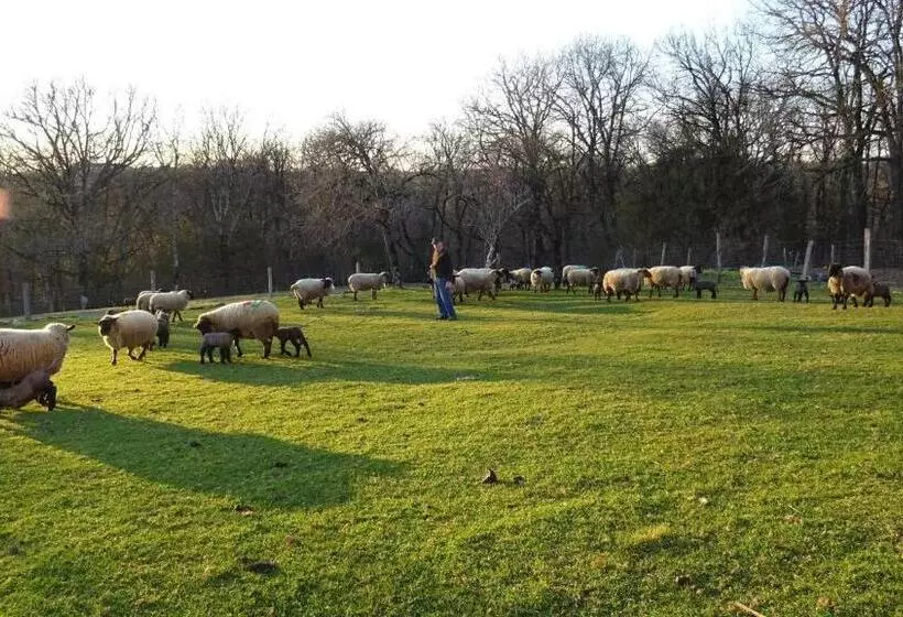 Les Hirondelles De Montsec