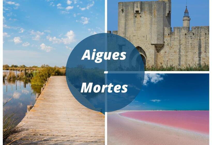 Studio Le Goéland / Cosy / Lumineux / Plage à 2 Minutes