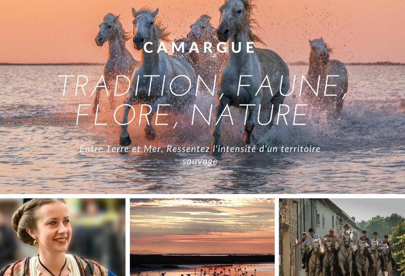 Studio Le Goéland / Cosy / Lumineux / Plage à 2 Minutes