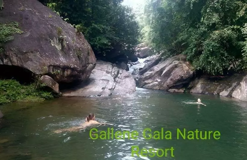 Gallene Gala Nature Resort
