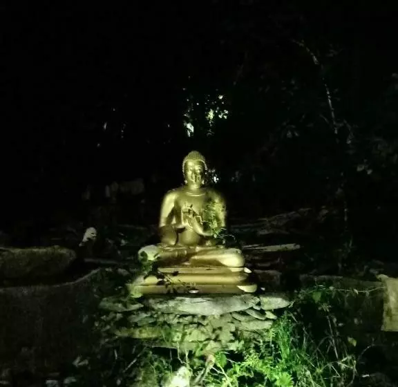 Gallene Gala Nature Resort