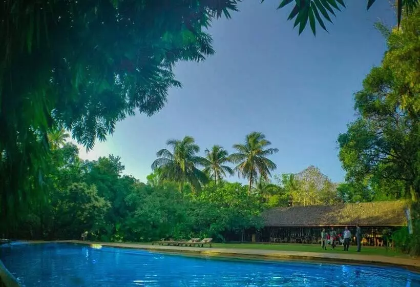 Hotelli The Orchard Resort