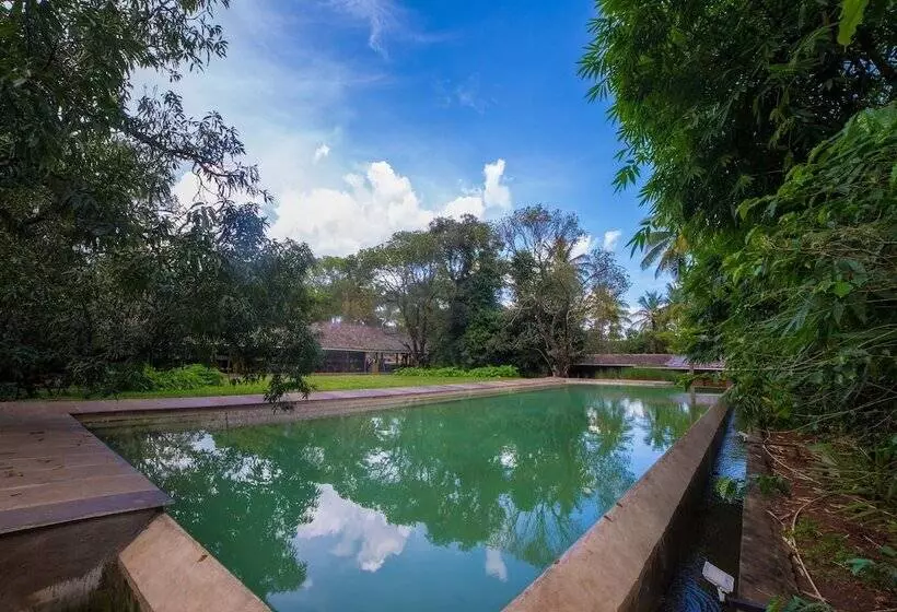 Hotelli The Orchard Resort