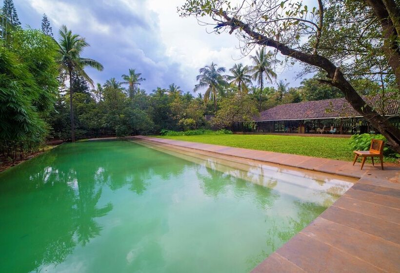 هتل The Orchard Resort