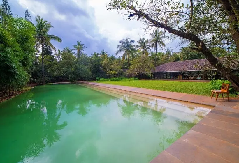 Hotelli The Orchard Resort