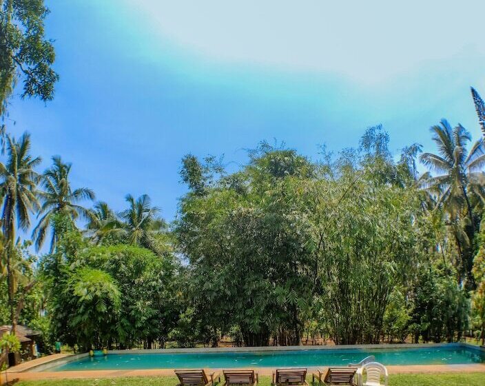 هتل The Orchard Resort