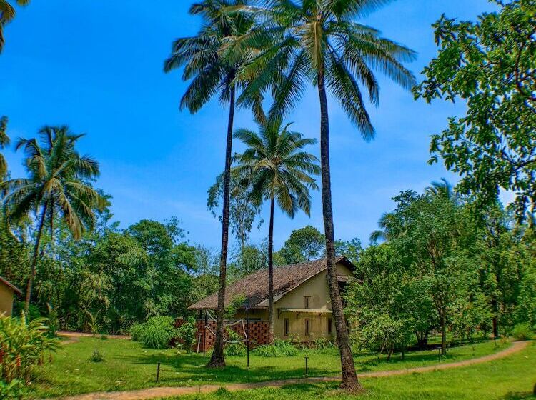 هتل The Orchard Resort