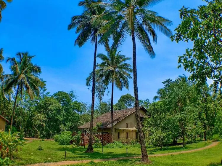 Hotelli The Orchard Resort