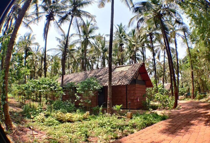 هتل The Orchard Resort