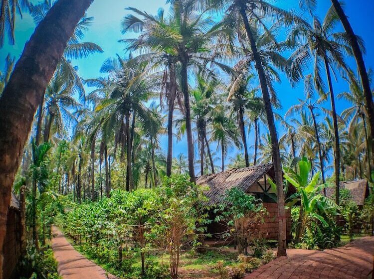 هتل The Orchard Resort