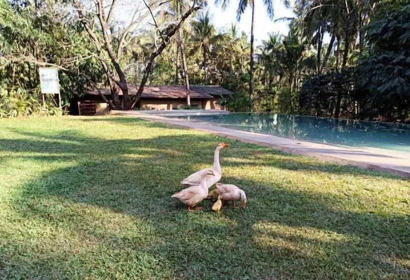 Hotelli The Orchard Resort