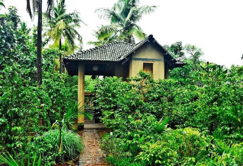 هتل The Orchard Resort