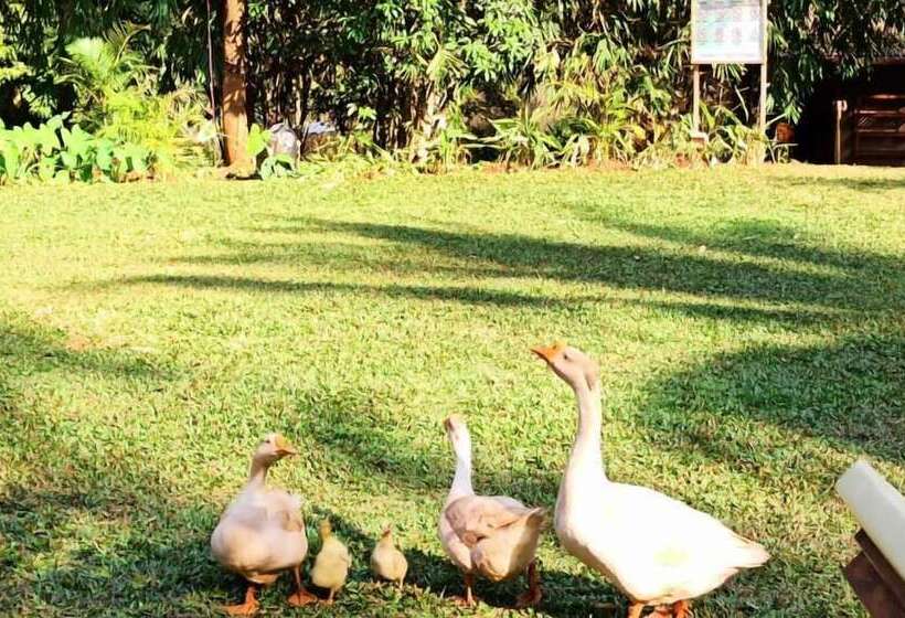 هتل The Orchard Resort