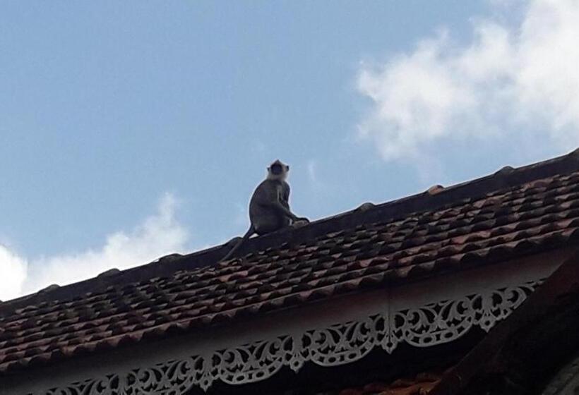 פנסיון Colonial Bungalow