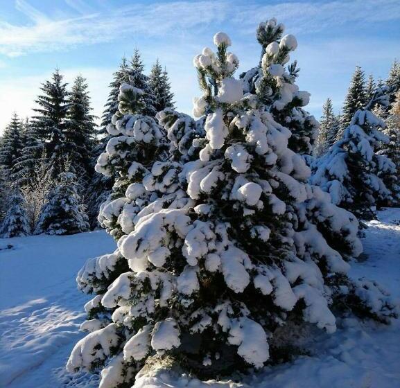 פנסיון Horská Bouda U Kokrháče