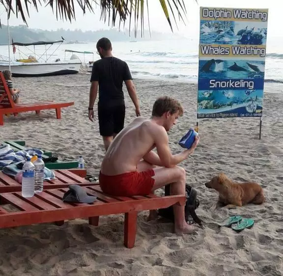 ペンション Surf Reef Beach