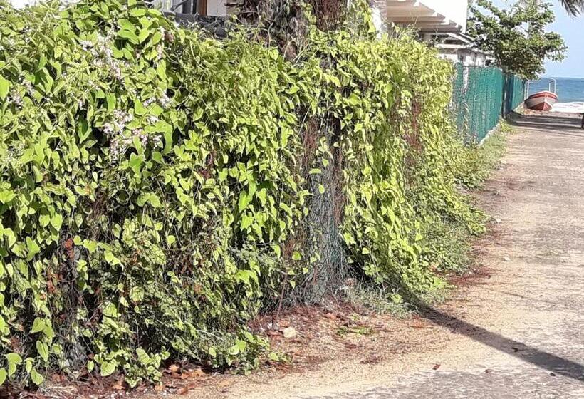 Pensjonat Surf Reef Beach