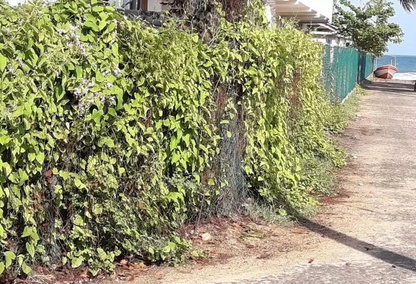 ペンション Surf Reef Beach