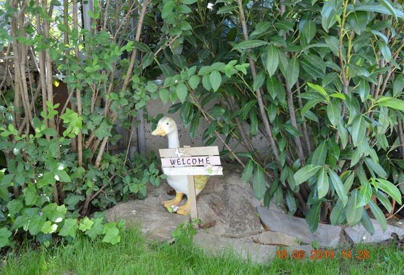 پانسیون Villa Maris