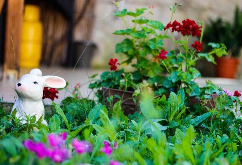 پانسیون Villa Maris