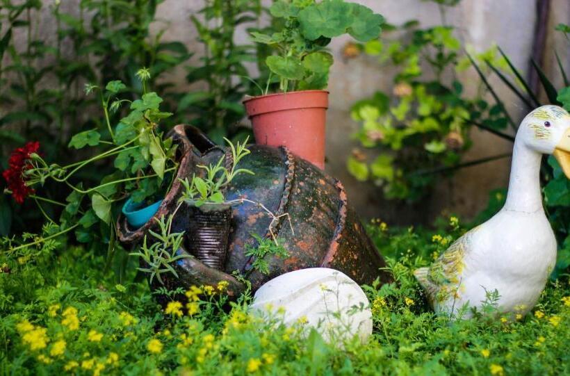 پانسیون Villa Maris