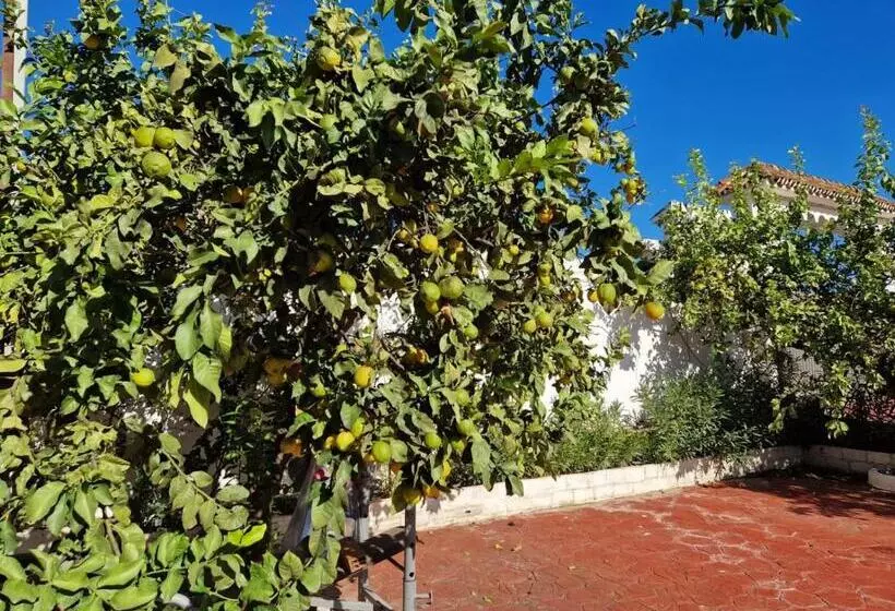 Villa Costa Marbella