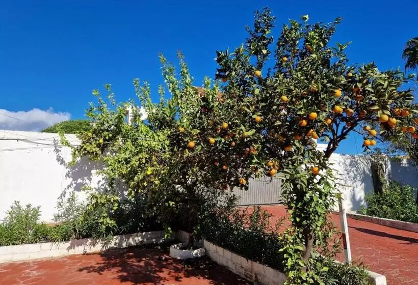 Villa Costa Marbella